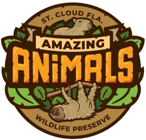 Amazing Animals