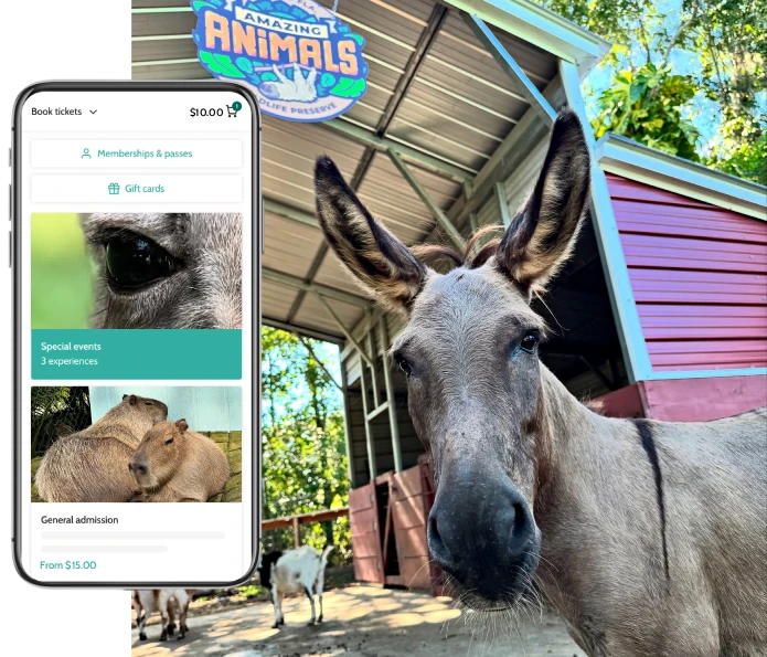 amazing animals case study