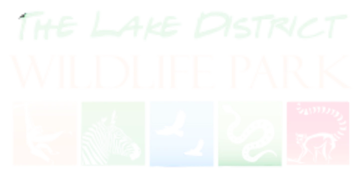 The Lake District Wildlife Park