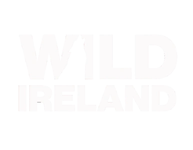 Wild Ireland